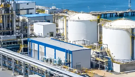 NTPC seeks green ammonia buyers in Japan, South Korea and Germany - domain