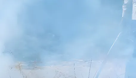 Vedanta says biomass facility of Talwandi Sabo Power helps in reducing stubble burning in Punjab 