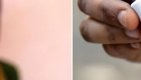 Bihar Elections: How India makes its indelible ink for voting; Click for details 