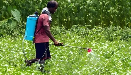 Global crop prices rise up to 30%, but agrochemical demand remains weak: Jefferies 