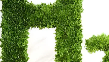 Renewable hydrogen reaches Marl as GET H2 Nukleus enters operation 