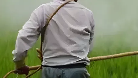 Pune Fertiliser Monitoring Intensifies To Protect Farmers