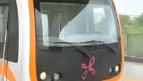 Orange Line project: BMRCL faces backlash for planned felling of over a thousand trees 