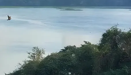 Mumbai Lake Storage Declines Amid Monsoon Showers