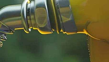 European biodiesel market to be shaped by regulatory landscape, feedstock dynamics