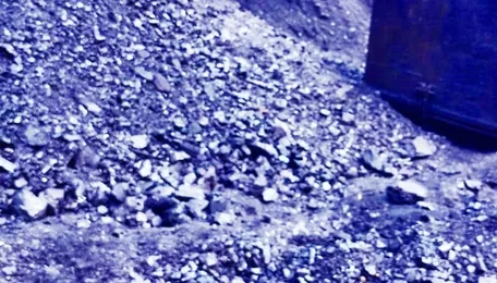 6,000 MT dumped coal seized in EJH 