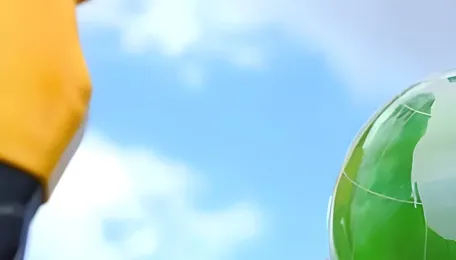 Utilising 7.3 mn tonnes of straw can produce renewable energy worth ₹270 cr a year: IBA 