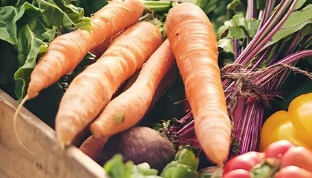 Surat Municipal Plan Tightens Food Waste Management