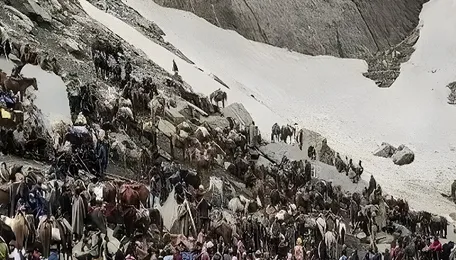 Amarnath Yatra resumes day after landslide blocks highway; 4,474 pilgrims en route 