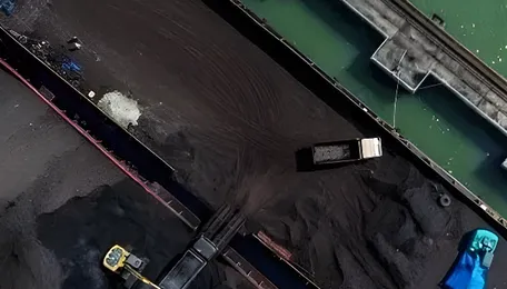Seaborne coal trade rebounds as Asian energy crisis reshapes global flows — SMI DIGITAL 