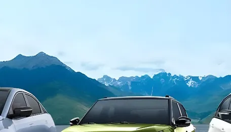 Meeting India's EV needs: Prioritising practical range, price parity, and locally relevant features 