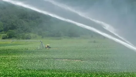 Vidarbha Irrigation Projects Delay Affects Regional Development