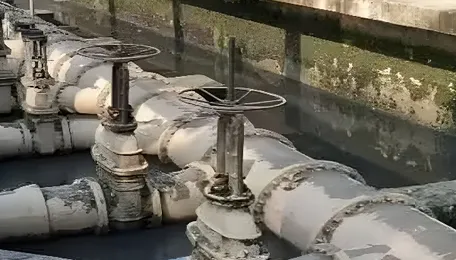 Nagpur sewage flow into dam raises water safety concerns