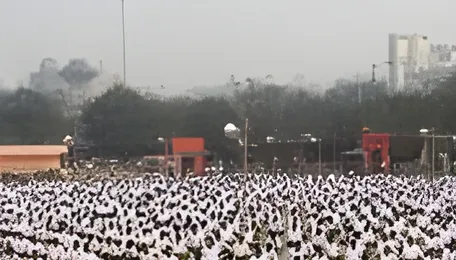 Kolkata Civic Rift Disrupts Governance Stability 