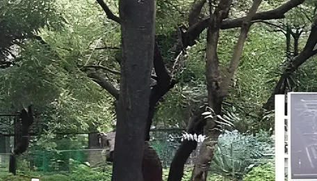 BMC Floats Rs 26-Crore Tenders To Renovate Parks And Playgrounds Across Mumbai