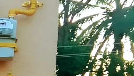 Over 4 lakh PNG connection provides since March : Govt 