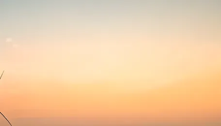 Nagpur Renewable Energy Policy Impacts Urban Consumers