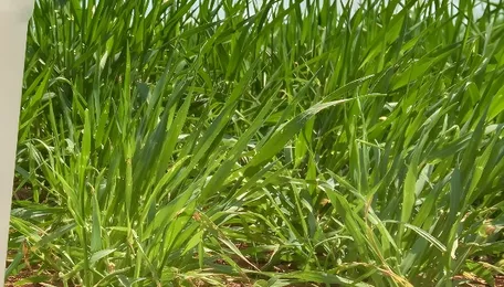 Global rHDPE market poised to reach $38.7 billion by 2033