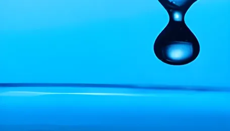 Deepak Nitrite faces pricing pressures as advanced intermediates revenue drops