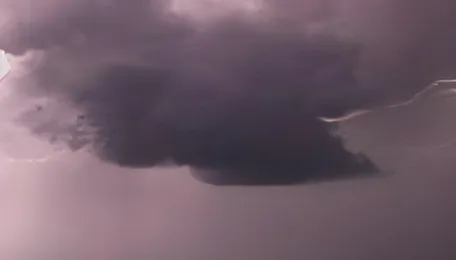 Punjab Public Transport Expansion Boosts Bus Fleet