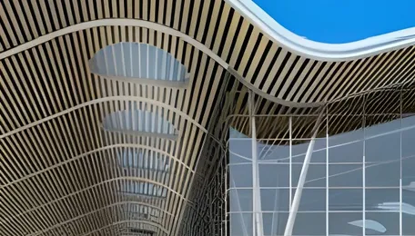 Chennai Airport Clearance Delays Affect Real Estate Growth