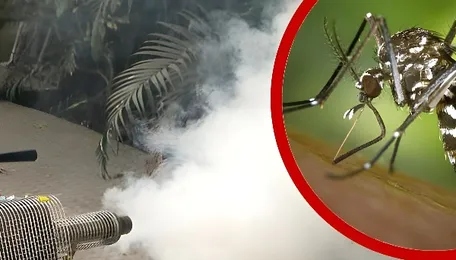 Navi Mumbai Targets Mosquito Risks At Construction Sites