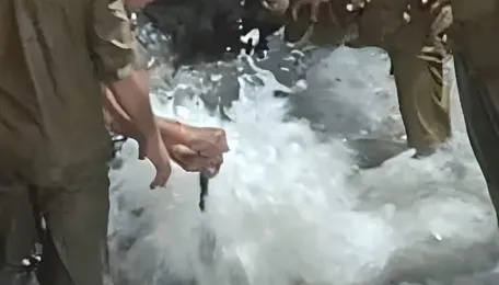 No Immediate Water Cuts for Mumbai Residents