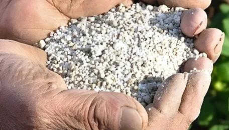 The Sri Lanka lesson India must not repeat — and cannot afford to ignore 