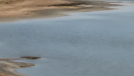 India’s Weak Monsoon Raises a Wider Water and Food Risk