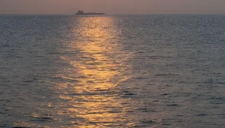 Holding the Line: The West Asia Crisis and India’s Energy Resilience 