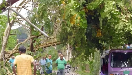 Cesc prepares for monsoon power challenges 