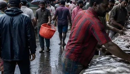 Chennai Fish Supply Gets a Monsoon Boost—But Rough Seas Loom