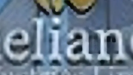 Reliance, Essar lead race for 16 CBM blocks; ONGC stays out 