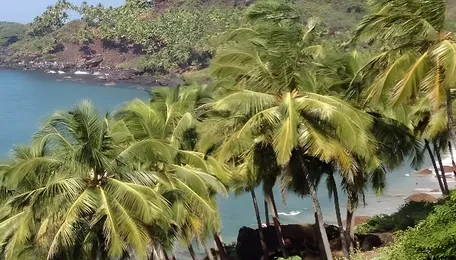 Goa Maritime Sector Seeks Local Regulatory Hub