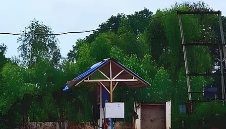 India on e-wheels: Odisha’s EV push struggles to reach rural, hilly districts 