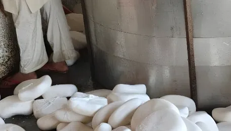 Ahmedabad Fake Paneer Crackdown Raises Food Safety Concerns