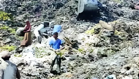 Mumbai Waste Trail Reaches Protected Diva Wetlands