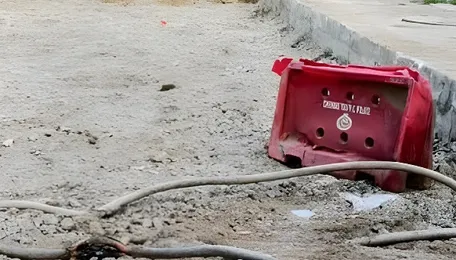 Chennai Tambaram Residents Flag Road Damage