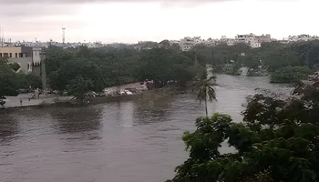 Hyderabad Flood Risk Rises As Green Cover Shrinks