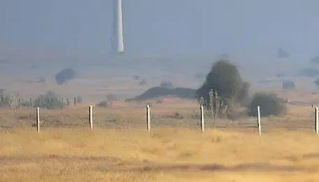 Was there a judicial balancing between the Great Indian Bustard and solar panels in ‘MK Ranjitsinh v Union of India’? 