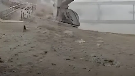 Kashmir Dry Spell: Jhelum Recedes, Marine Life and Power Generation Hit, Reports Mir Fareed - India Today 