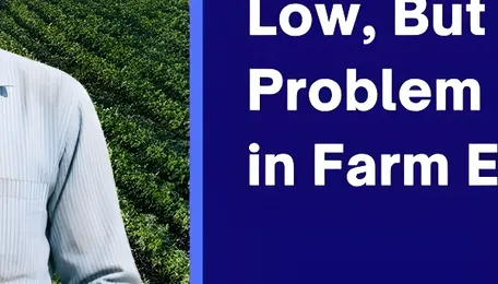 India's Fertiliser Output Hits 5-Year Low, But the Real Problem Lies Deeper in Farm Economy 