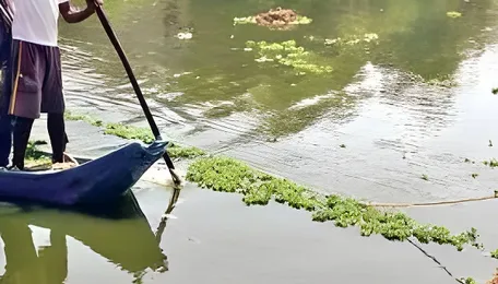 Chennai Sembakkam Lake Revival Demand Gains Momentum