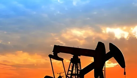 Dow (DOW.US) CEO Says Petrochemical Supply Disruptions to Persist Through Year-End 