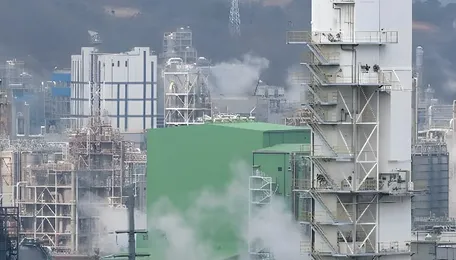 LG Chem Shuts Yeosu Plant, but Government Draws Line Against 'April Crisis' Talk 