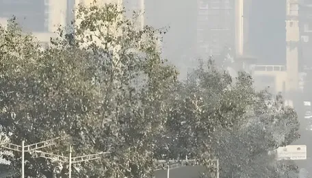 Mumbai Weather Update Brings Mild Heat And Clear Air