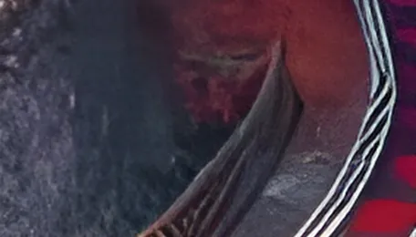 MP: “Glowing highway” In MP Reserve Protects Wildlife Animals Rom Speeding Vehicles 