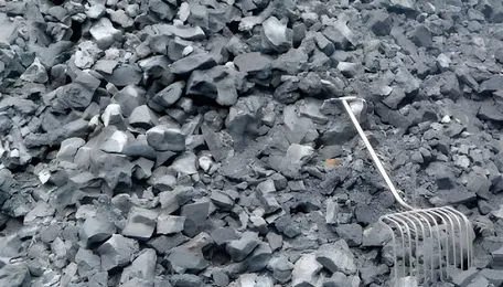 Govt releases discussion paper for compiling monetary asset accounts of coal in India 