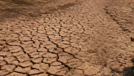 Karnataka Drought Funding Debate Exposes Relief Gaps