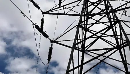 Tripura mulls supplying power to Nepal: Power Minister